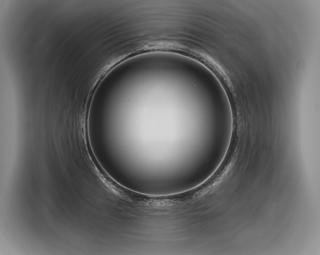 X0000116871041200912221402