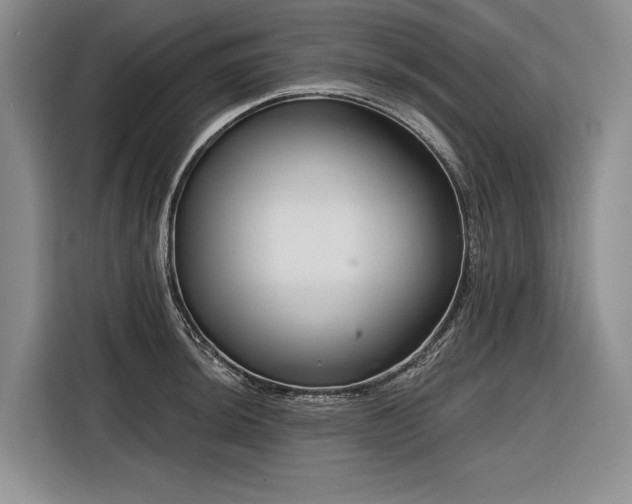 X0000116871044200912221402