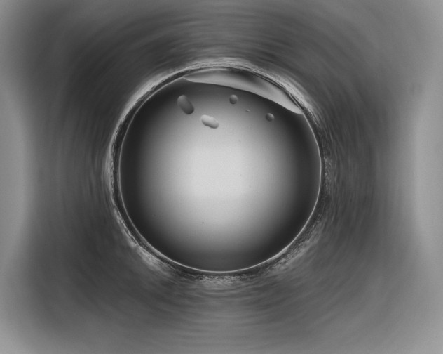 X0000116871046200912221402