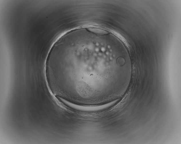 X0000116871047200912221402