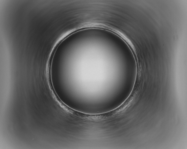 X0000116871053200912221402