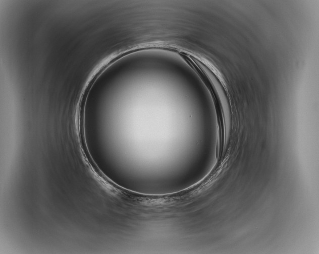 X0000116871054200912221402