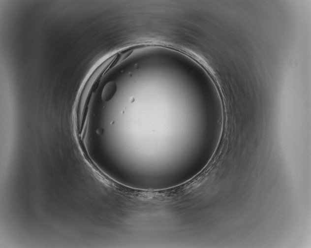 X0000116871056200912221402