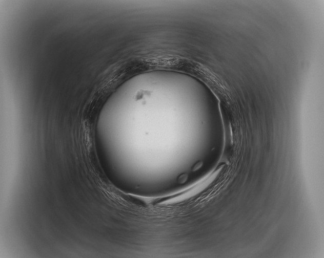 X0000116871058200912221401