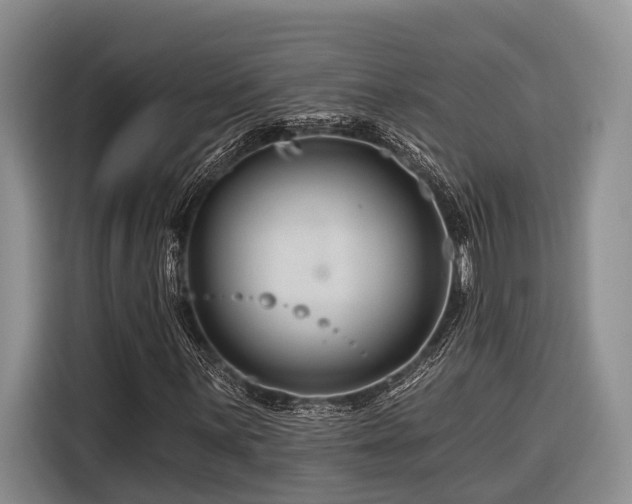 X0000116871059200912221401