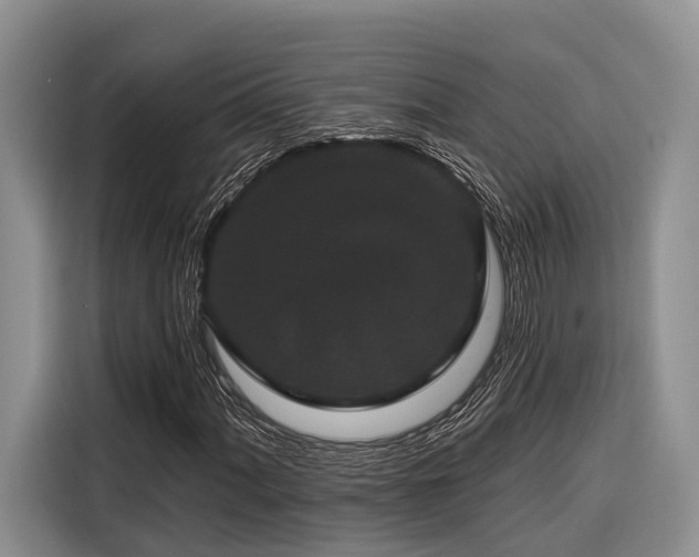 X0000116871060200912221401