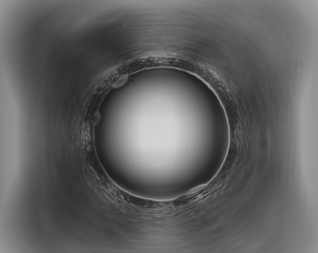 X0000116871062200912221401