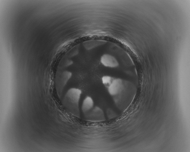 X0000116871063200912221401
