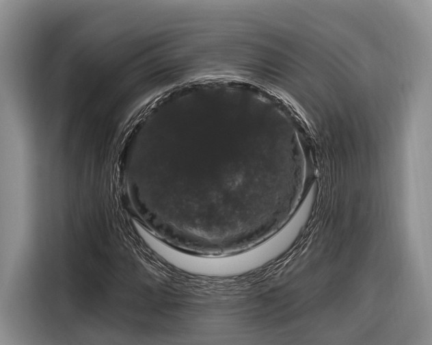 X0000116871064200912221401