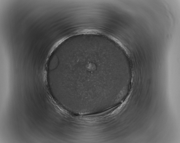 X0000116871066200912221401