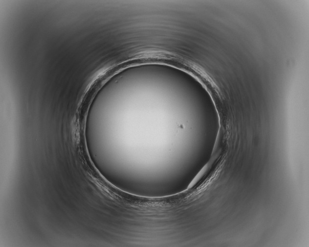 X0000116871067200912221401