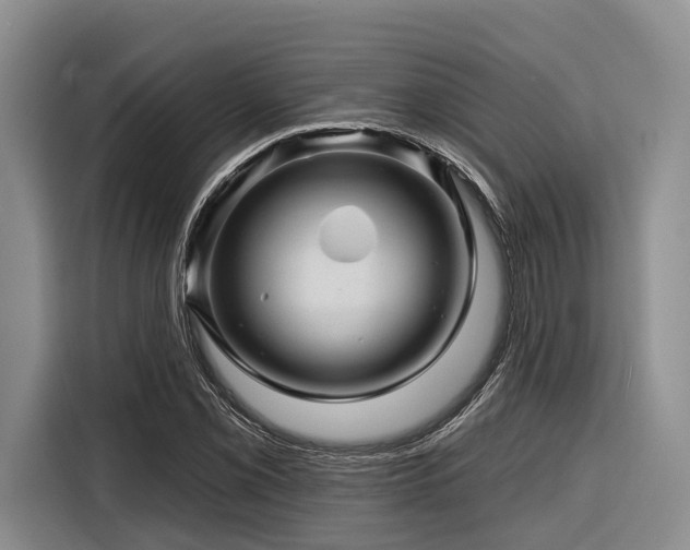 X0000116871069200912221401