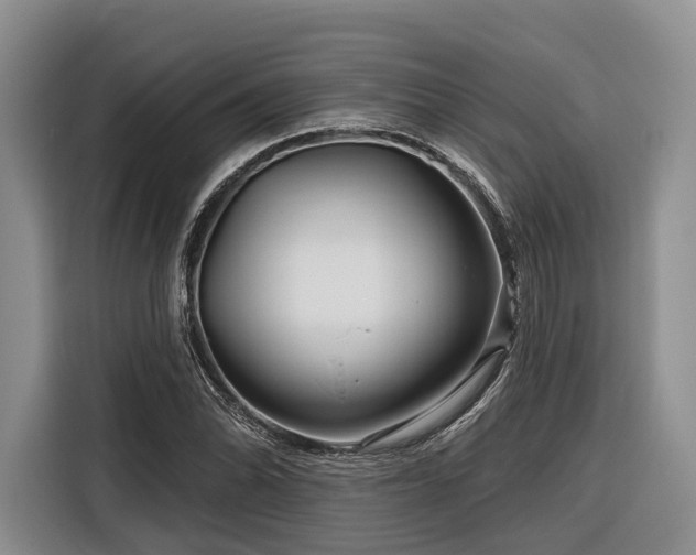 X0000116871070200912221401