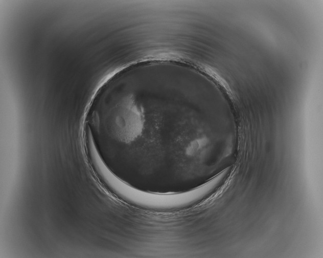 X0000116871071200912221401
