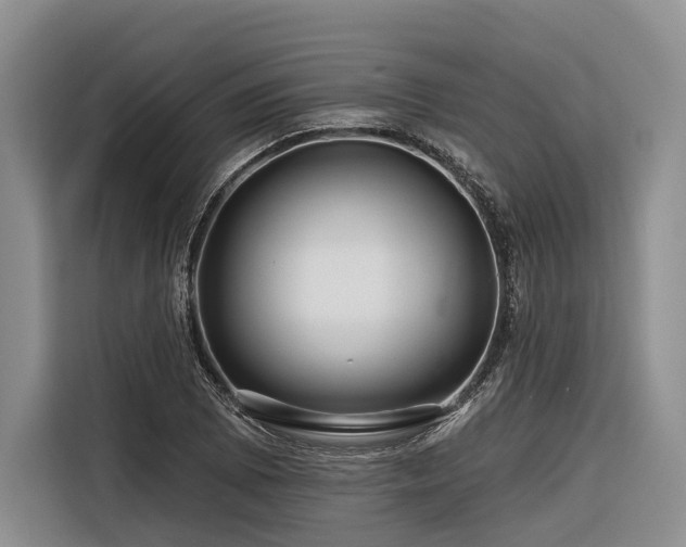X0000116871073200912221401