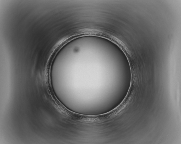 X0000116871074200912221401