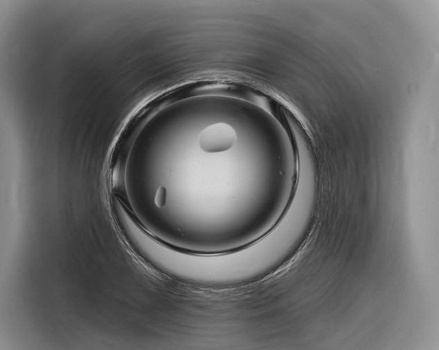 X0000116871075200912221401