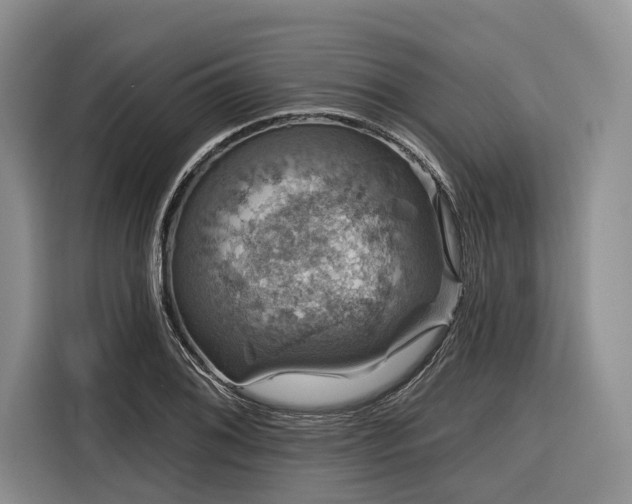 X0000116871076200912221401
