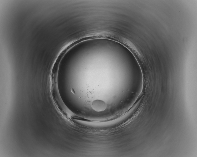 X0000116871079200912221401