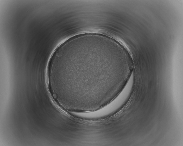 X0000116871080200912221401