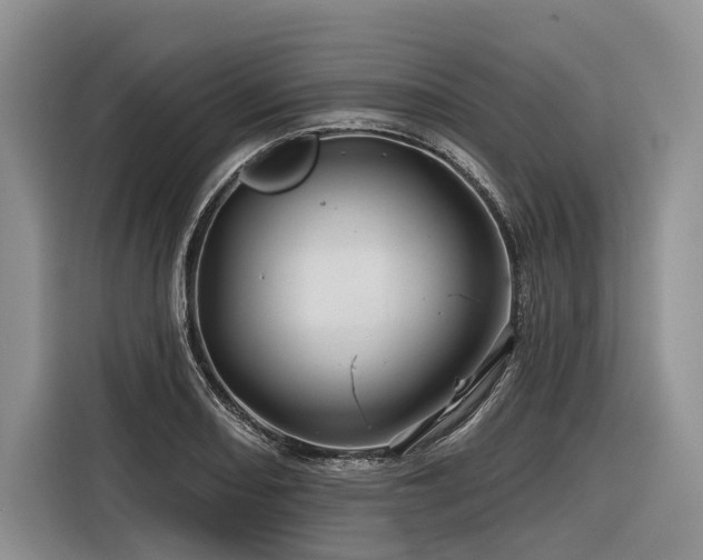 X0000116871082200912221401
