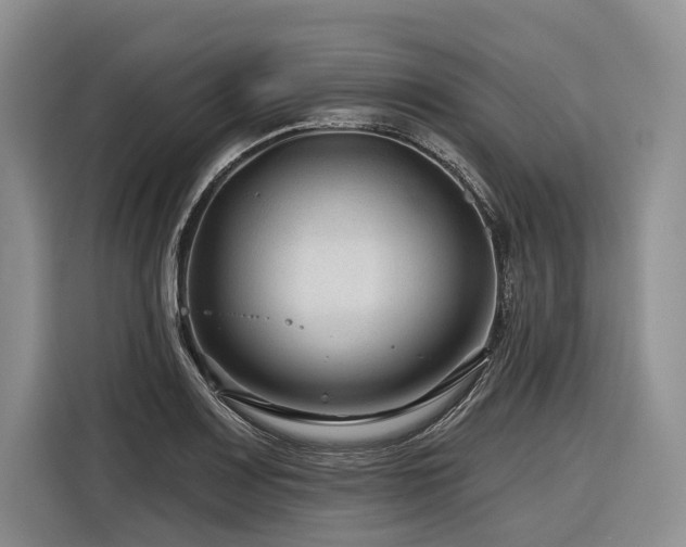 X0000116871083200912221401
