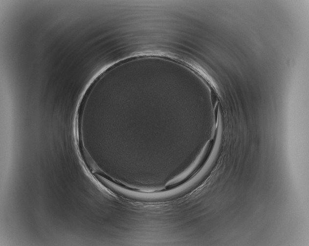 X0000116871084200912221401