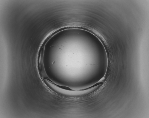 X0000116871085200912221401