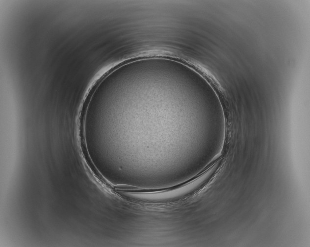 X0000116871086200912221401