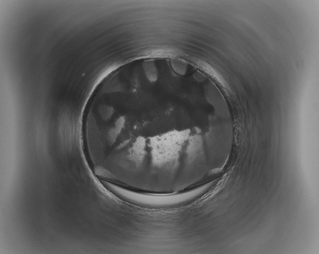 X0000116871087200912221401
