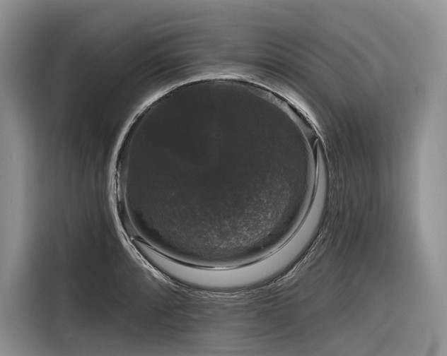 X0000116871088200912221401