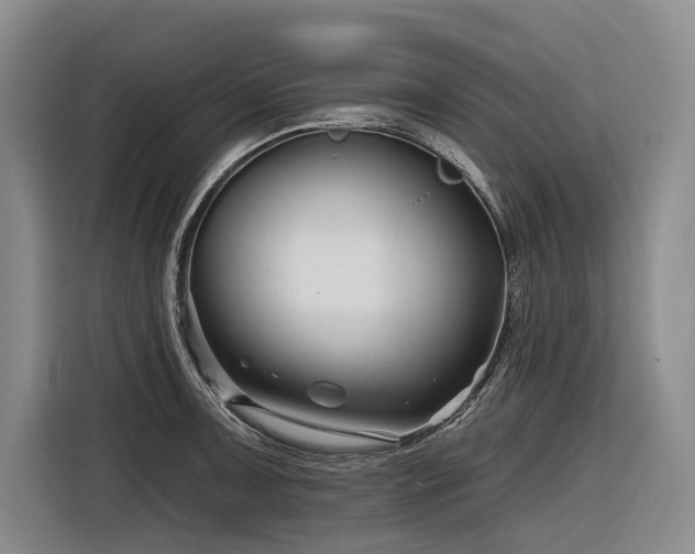 X0000116871091200912221401