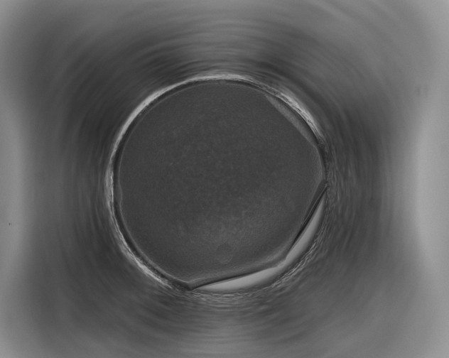 X0000116871092200912221401