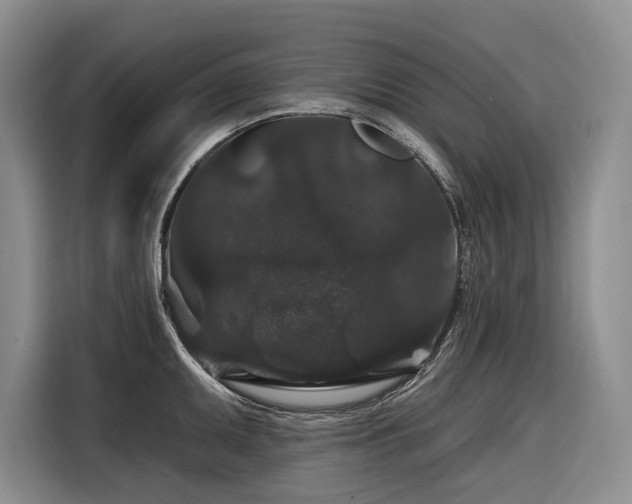 X0000116871095200912221401