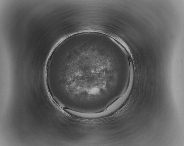 X0000116871096200912221401
