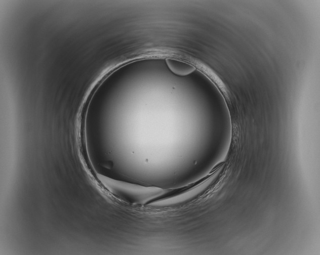 X0000116871099200912221401