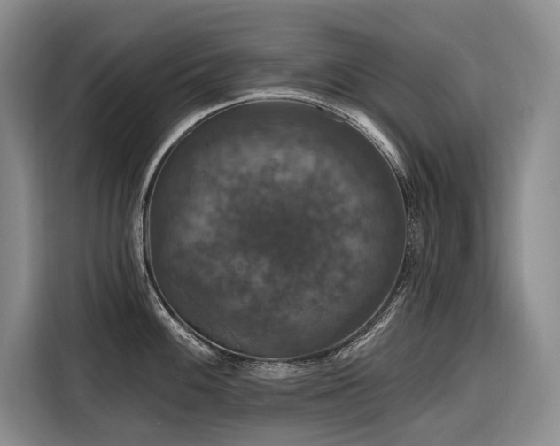 X0000116871100200912221401