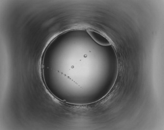 X0000116871103200912221401