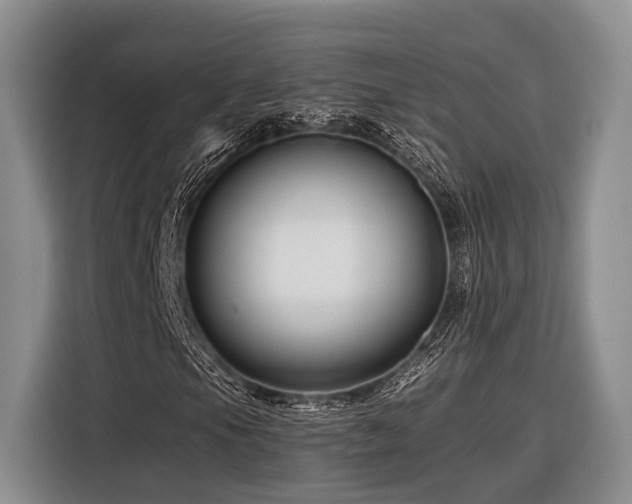 X0000116871105200912221400