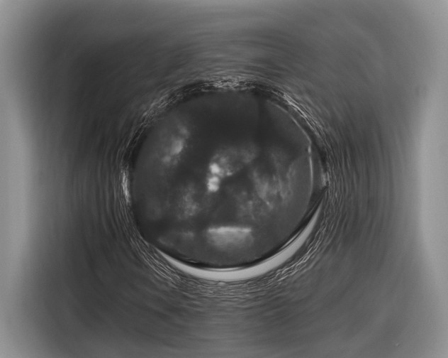 X0000116871106200912221400