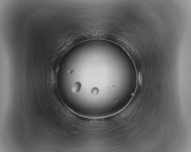X0000116871107200912221400
