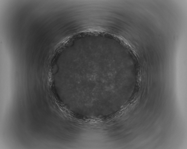 X0000116871110200912221400
