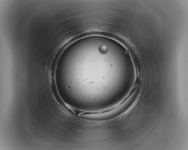 X0000116871113200912221400