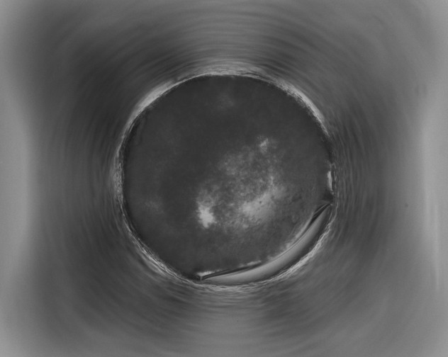 X0000116871114200912221400