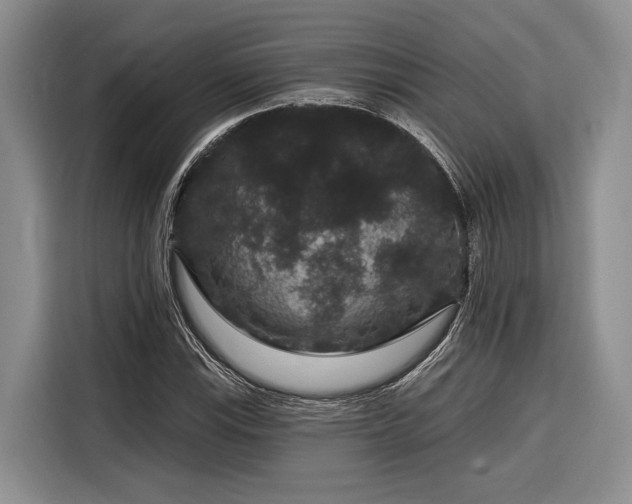 X0000116871115200912221400