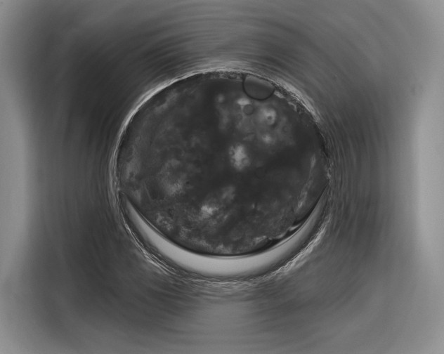 X0000116871117200912221400