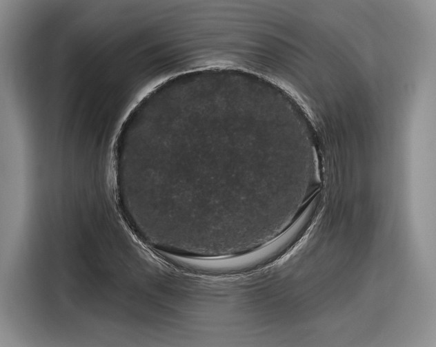 X0000116871118200912221400