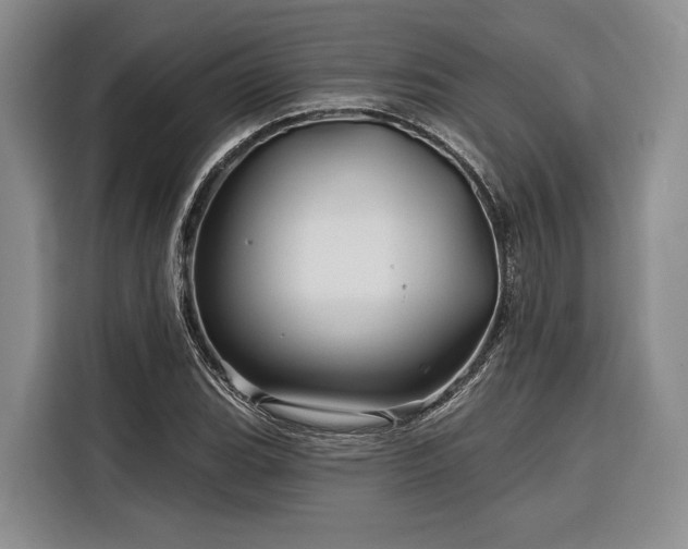 X0000116871119200912221400