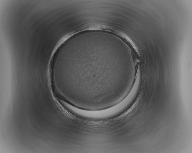 X0000116871122200912221400