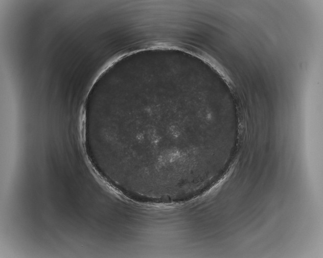 X0000116871126200912221400